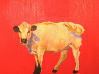Cow Study 1